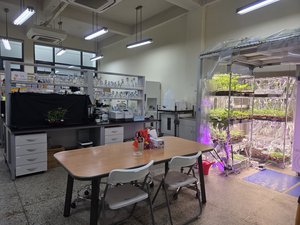 Lab Photo 3