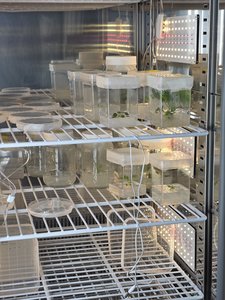 Lab Photo 6