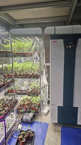 Lab Photo 7