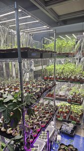 Lab Photo 9